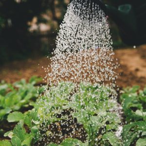 Smart Garden Watering System Setup Guide